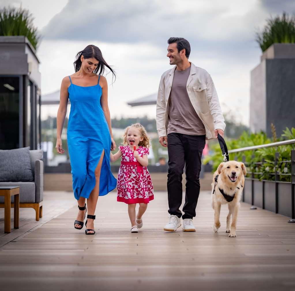 Galeria Plaza San Jeronimo Hotel Mexico By Bekvemmeligheder billede A family with a dog