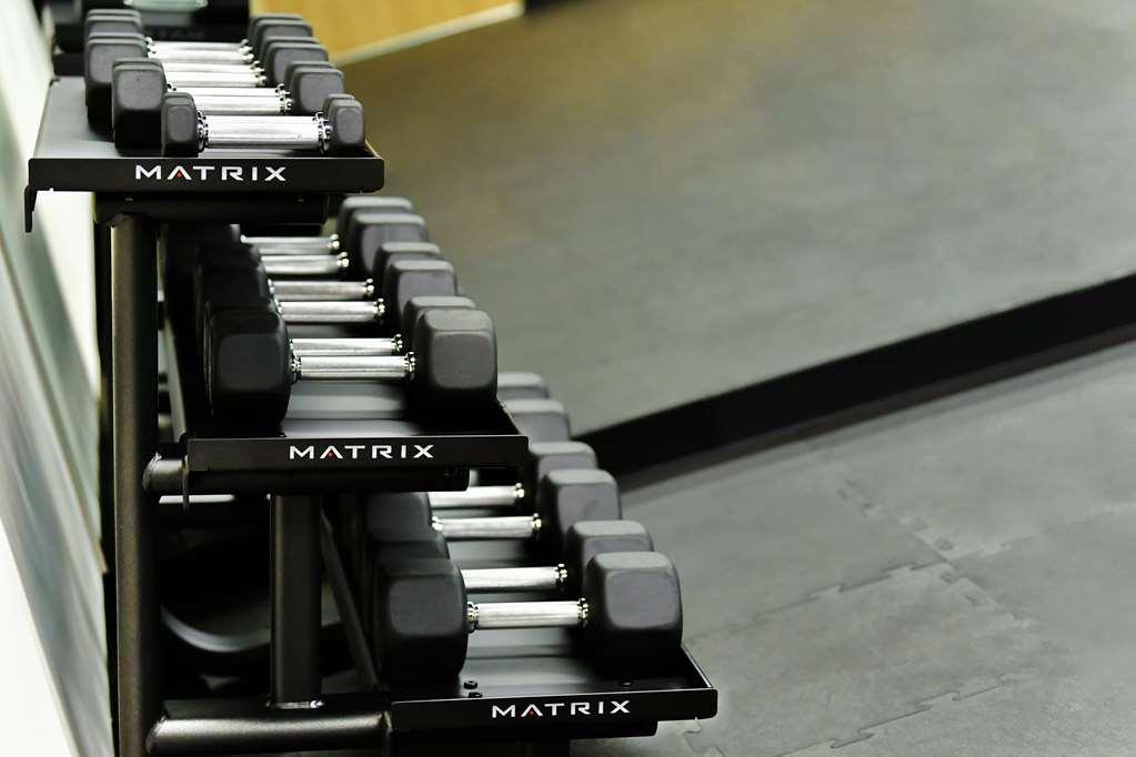 Galeria Plaza San Jeronimo Hotel Mexico By Faciliteter billede Dumbbells
