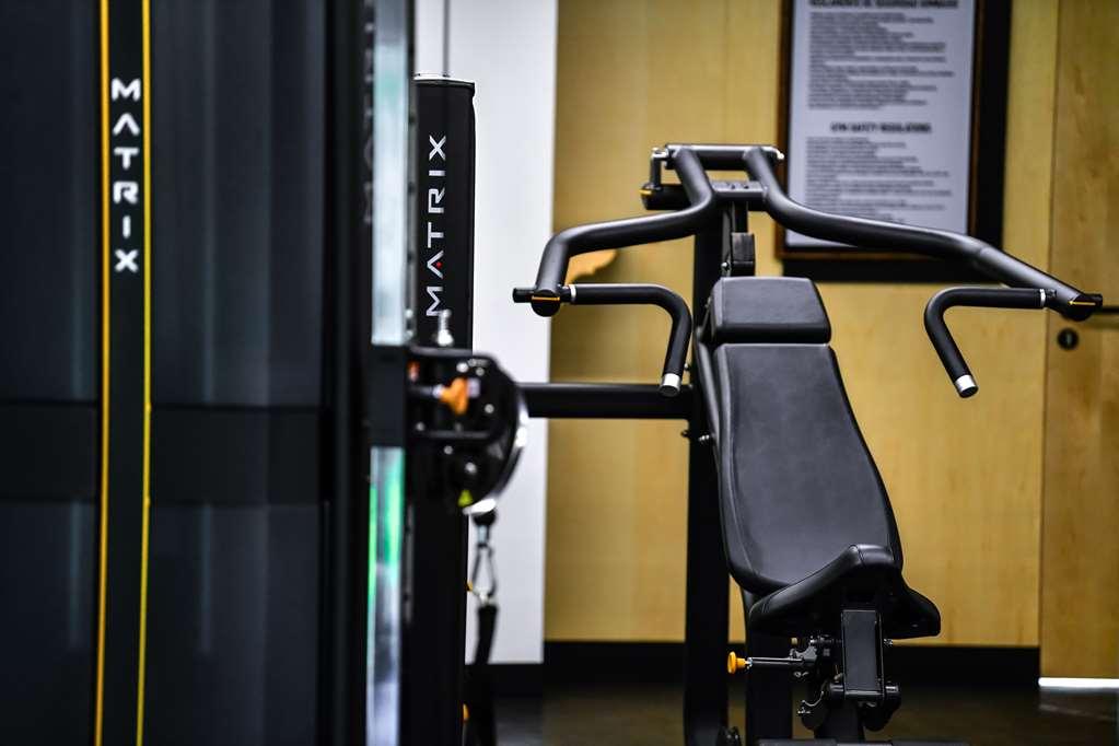 Galeria Plaza San Jeronimo Hotel Mexico By Faciliteter billede A shoulder press machine
