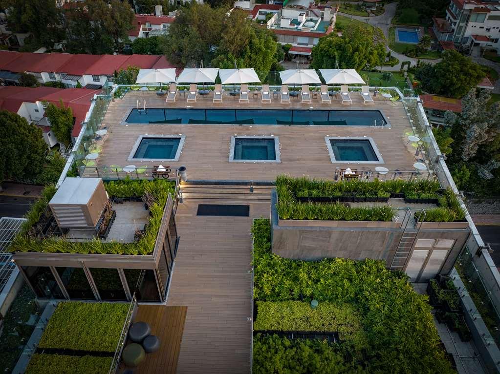 Galeria Plaza San Jeronimo Hotel Mexico By Faciliteter billede The rooftop pool at the hotel